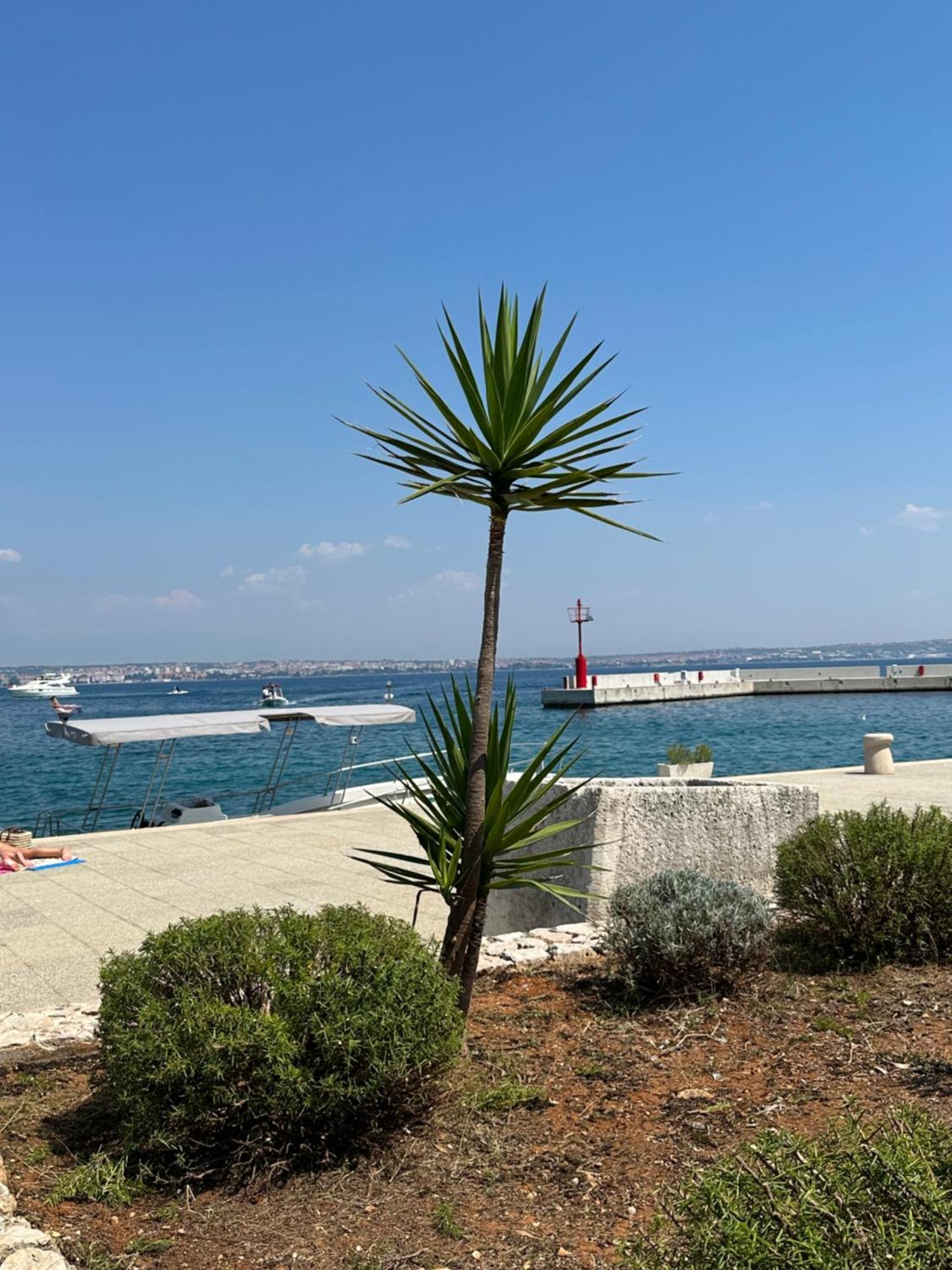 Studio On The Beach بريكو المظهر الخارجي الصورة